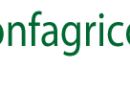 CONFAGRICOLTURA SICILIA: Polizze agricole, Marchese Ragona: “Bene i 12 milioni, ma sul gasolio serve di più”