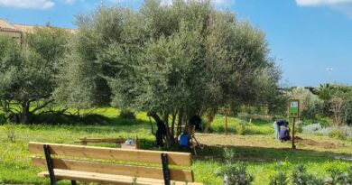 Patrimonio ambientale, una riunione in Municipio a Scicli con le associazioni