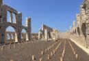 Fornace Pisciotto a Sampieri, riemergono brani di architettura grazie ai lavori di consolidamento