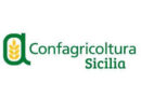 Siccità, Confagricoltura Sicilia chiede interventi urgenti per il settore agricolo