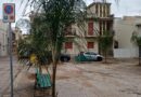 Nuove Cocos Plumosa a Piazza Morando, Donnalucata. Il Sindaco lo comunica su Facebook. Alessandra Manenti critica l’operazione.