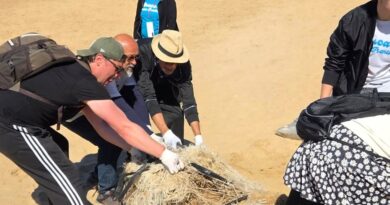 A Bruca puliscono i cittadini