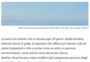 Oggi 91° della nascita di Piero Guccione
