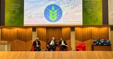 Spighe Verdi 2026: confermate Modica, Ragusa e Vittoria, uniche premiate in Sicilia