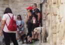 Passeggiata a 6 zampe: domenica 14 giugno a Scicli