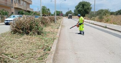 Sampieri, interventi di potatura e riqualificazione delle aiuole.