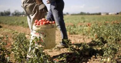 Braccianti agricoli sfruttati e ospitati in strutture degradanti: denunciato un datore di lavoro