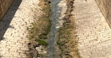 Lettera sul Torrente Aleardi abbandonato a se stesso.