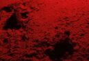 Tartarughe a Sampieri: La schiusa a 59 giorni dalla deposizione delle uova.