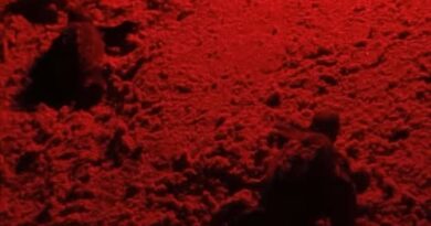 Tartarughe a Sampieri: La schiusa a 59 giorni dalla deposizione delle uova. Tartarughe a Sampieri: La schiusa a 59 giorni dalla deposizione delle uova.
