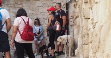 “Passeggiata a 6 zampe”. A Scicli il 4 ottobre.